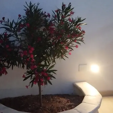 Le Calette Lampedusa